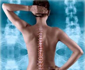 ilustracija stražnje kralježnice